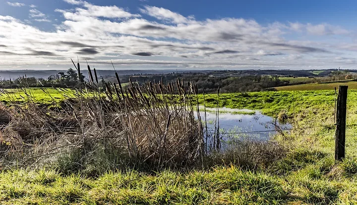 Paysages du Gers - Photo n°11