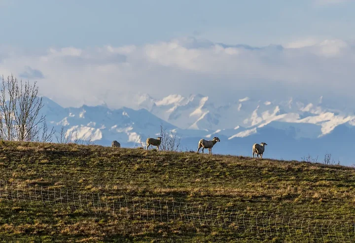 Paysages du Gers - Photo n°14