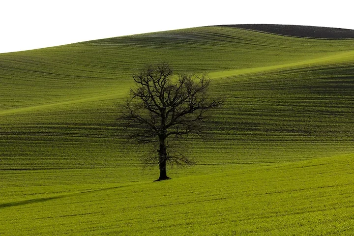 Paysages du Gers - Photo n°15