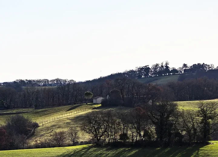 Paysages du Gers - Photo n°18