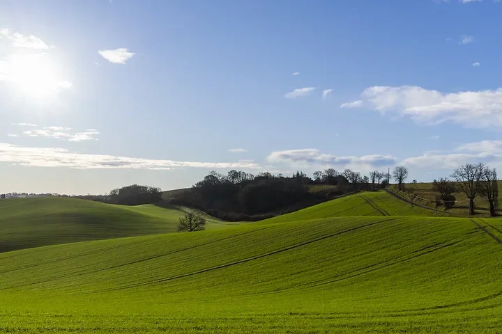 Paysages du Gers - Photo n°22