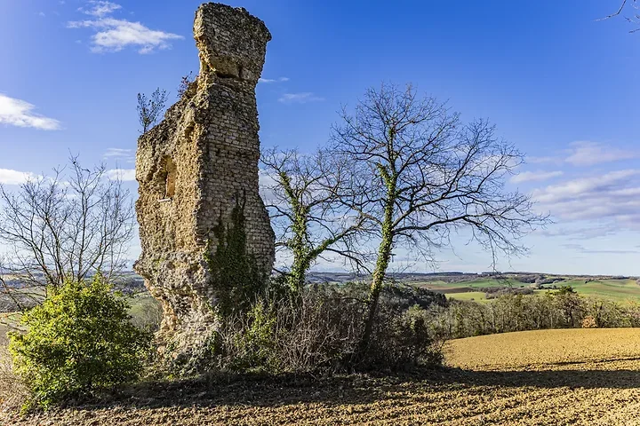 Paysages du Gers - Photo n°23