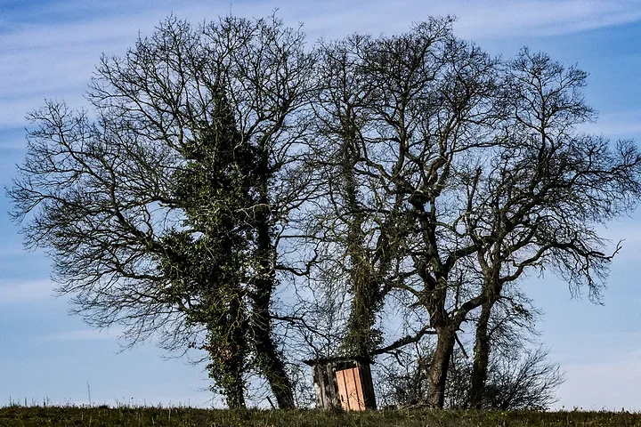 Paysages du Gers autour de Caillavet - Photo n°5