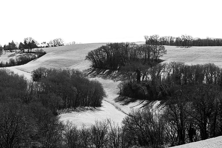 Paysages du Gers autour de Caillavet - Photo n°6