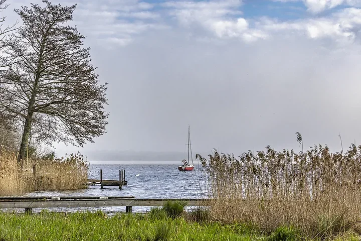 Entre Lacanau et Audenge - Paysages - Photo n°1