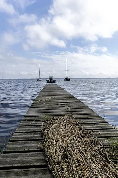 Entre Lacanau et Audenge - Paysages - Photo n°2
