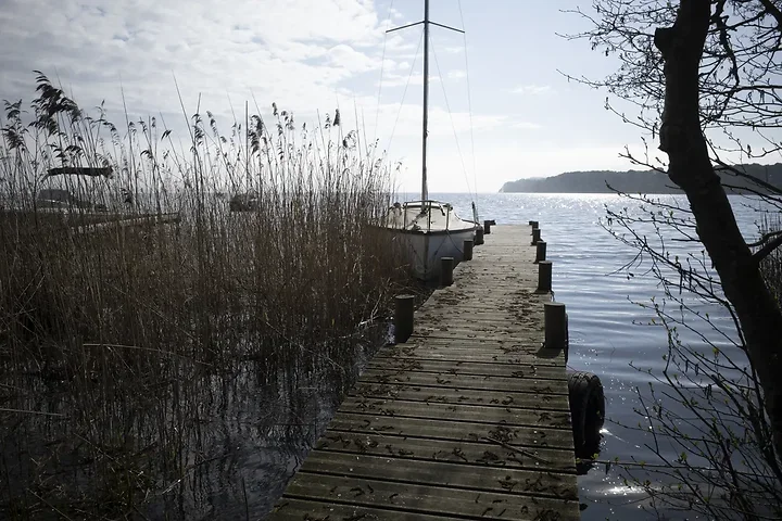 Entre Lacanau et Audenge - Paysages - Photo n°4