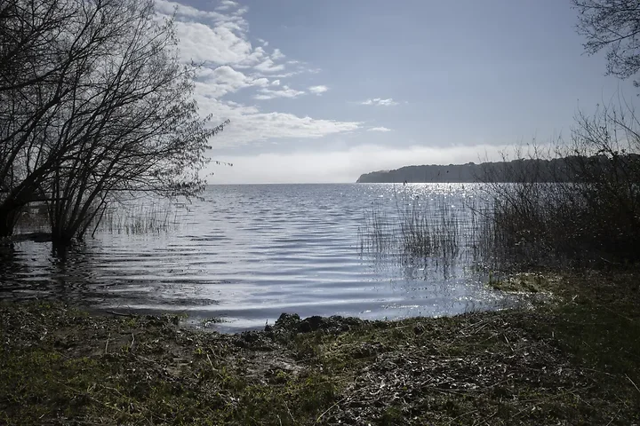 Entre Lacanau et Audenge - Paysages - Photo n°5