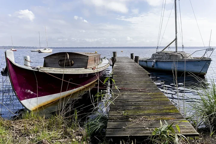 Entre Lacanau et Audenge - Paysages - Photo n°6