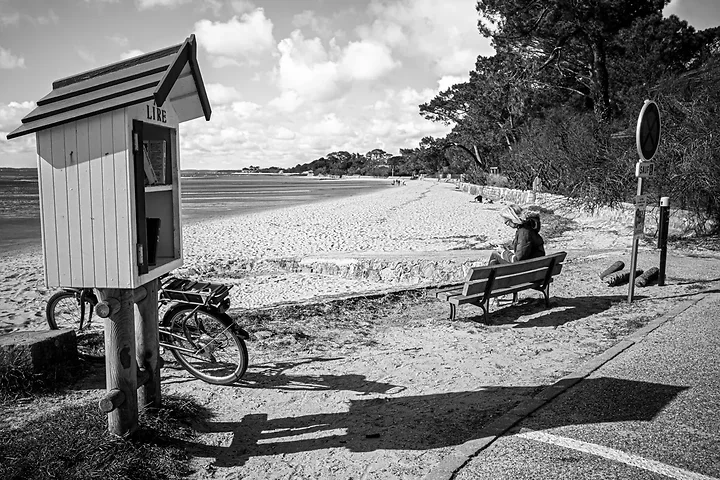 Entre Lacanau et Audenge - Paysages - Photo n°9