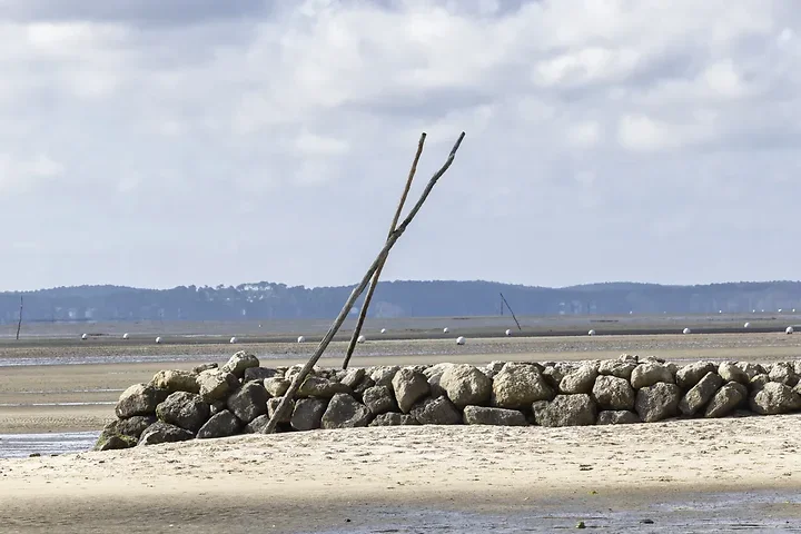 Entre Lacanau et Audenge - Paysages - Photo n°15