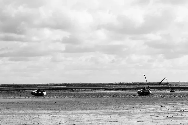 Entre Lacanau et Audenge - Paysages - Photo n°16