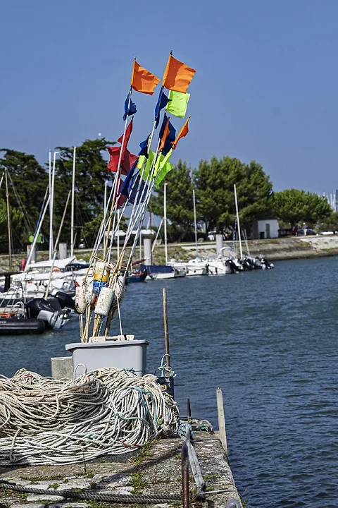 Ile de R&eacute; - paysages marins - Photo n°1