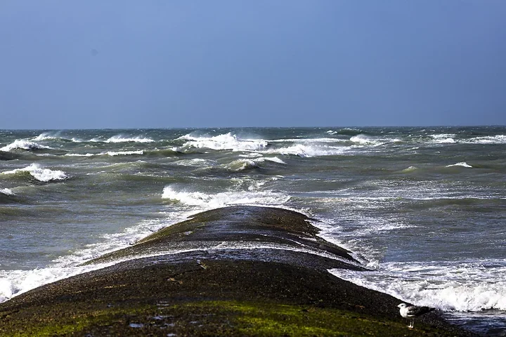 Ile de R&eacute; - paysages marins - Photo n°6