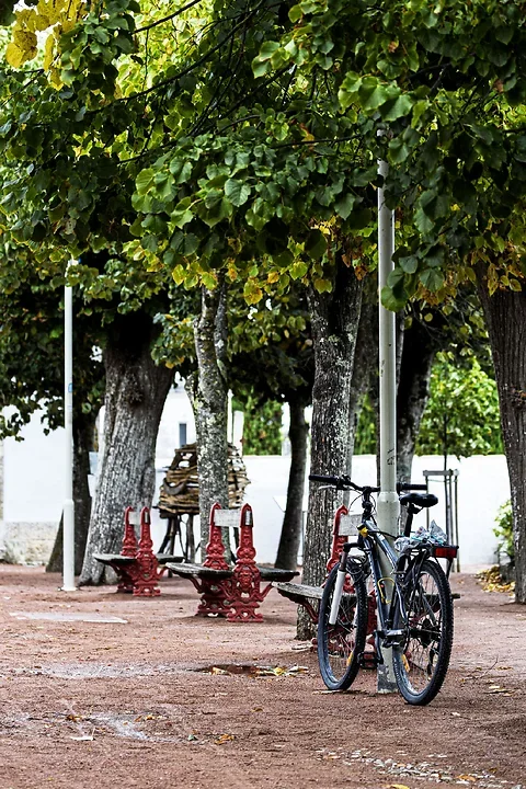 Ile de r&eacute; - Activit&eacute;s - Photo n°1