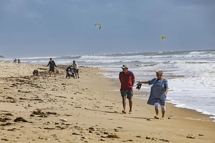 Ile de r&eacute; - Activit&eacute;s - Photo n°7