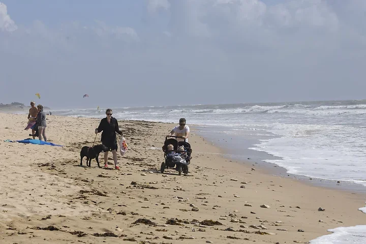 Ile de r&eacute; - Activit&eacute;s - Photo n°8