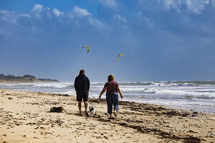 Ile de r&eacute; - Activit&eacute;s - Photo n°10