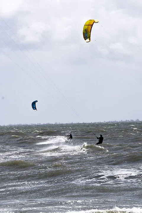 Ile de r&eacute; - Activit&eacute;s - Photo n°14