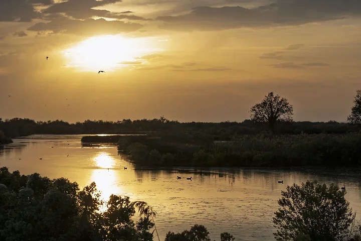 Bassin d'Arcachon - Couchers de soleil - Photo n°2