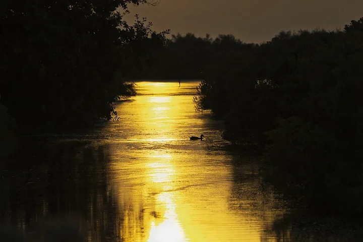 Bassin d'Arcachon - Couchers de soleil - Photo n°5