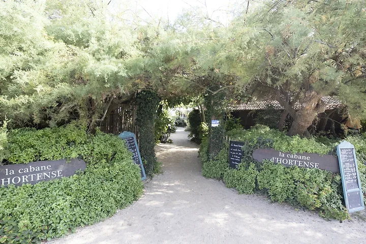 Arcachon - Paysages - Photo n°8