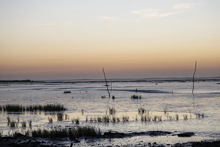 Arcachon - Paysages - Photo n°13