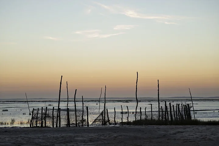 Arcachon - Paysages - Photo n°14