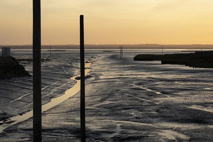 Arcachon - Paysages - Photo n°15