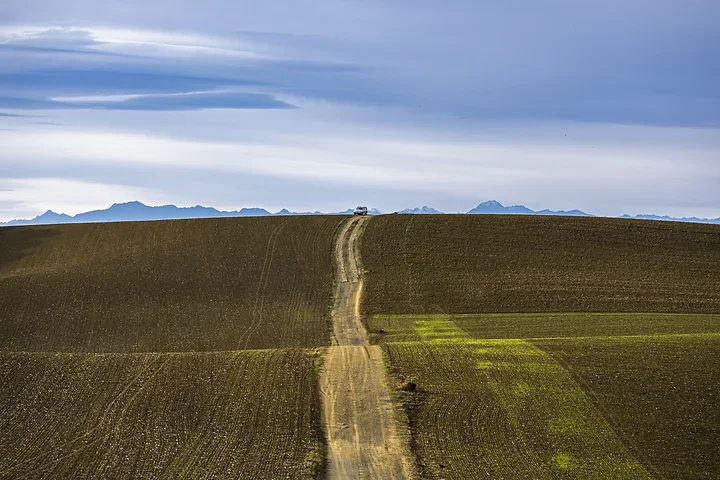 Marche active sur les cr&ecirc;tes du Gers - Photo n°6