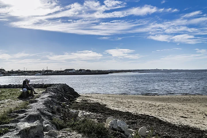 Autour des ports - Gujan Mestras - Photo n°3