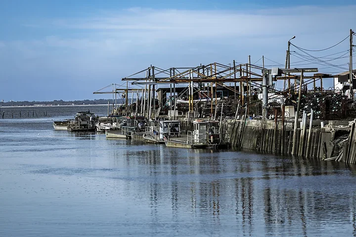 Autour des ports - Gujan Mestras - Photo n°4