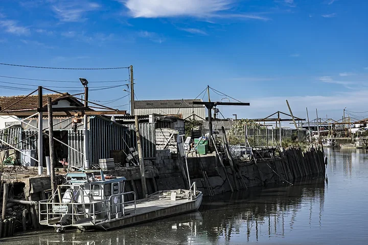 Autour des ports - Gujan Mestras - Photo n°6