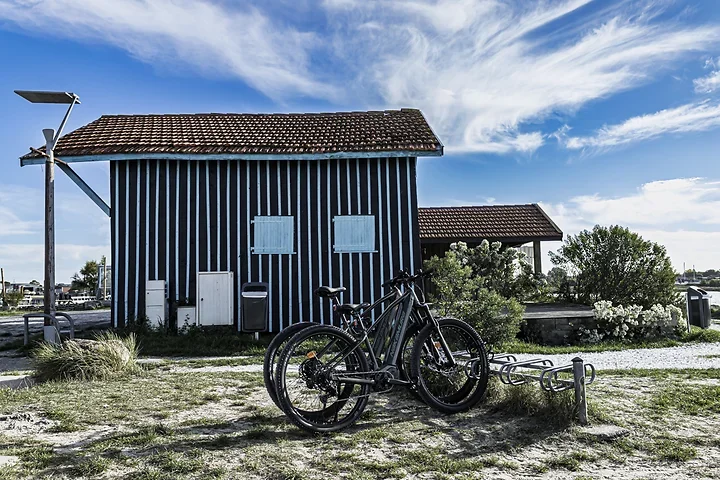 Autour des ports - Gujan Mestras - Photo n°10