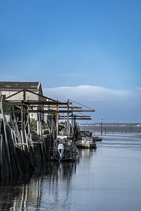 Autour des ports - Gujan Mestras - Photo n°13
