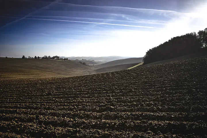  S&eacute;lection 2025 : Quand la couleur &eacute;clipse le sujet - Photo n°26