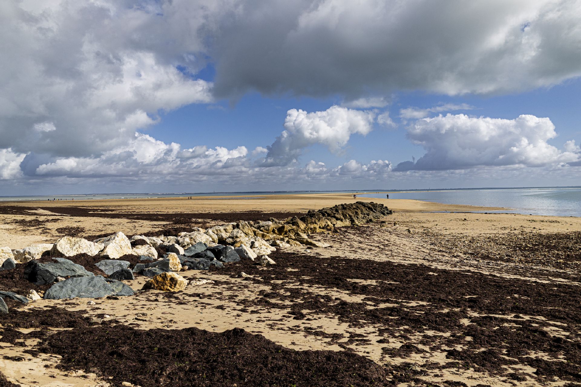 Ile de R&eacute; - paysages - Photo n°8