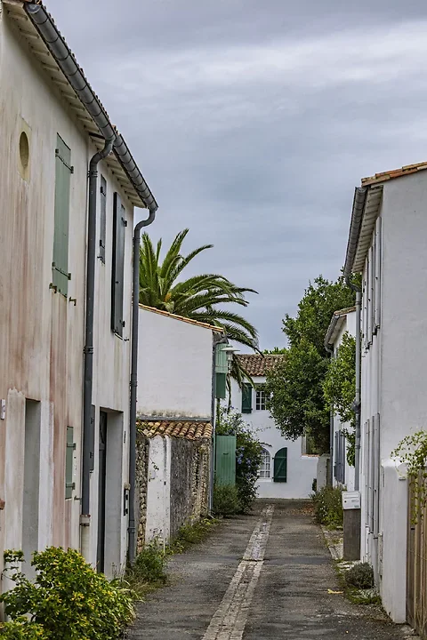 Ile de R&eacute; - paysages - Photo n°1