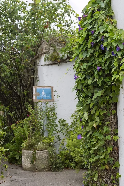 Ile de R&eacute; - paysages - Photo n°2