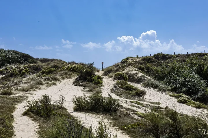 Ile de R&eacute; - paysages - Photo n°5