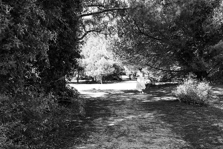 Ile de R&eacute; - paysages - Photo n°6