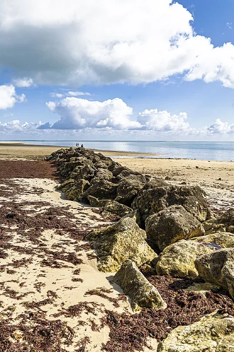 Ile de R&eacute; - paysages - Photo n°7