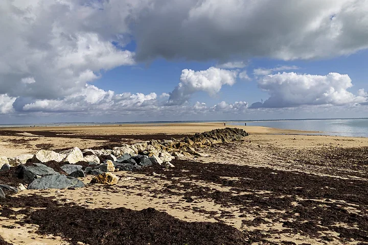 Ile de R&eacute; - paysages - Photo n°8