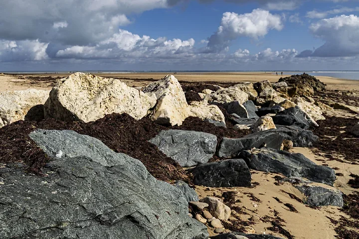 Ile de R&eacute; - paysages - Photo n°10