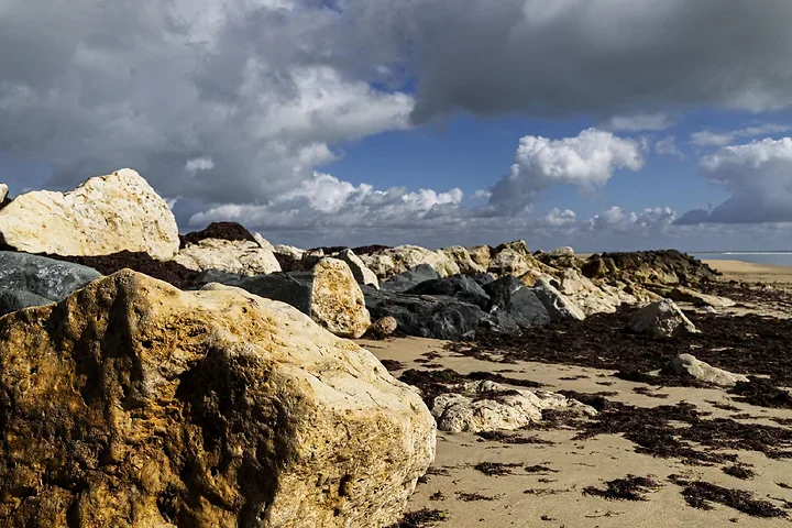 Ile de R&eacute; - paysages - Photo n°11