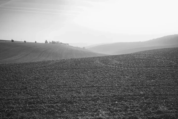 Panel de tirages tri&eacute;s sur l'ann&eacute;e &eacute;coul&eacute;e - Photo n°54