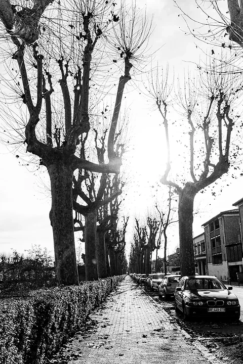 Panel de tirages tri&eacute;s sur l'ann&eacute;e &eacute;coul&eacute;e - Photo n°64
